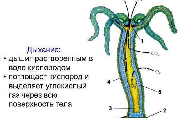 Что такое кракен магазин